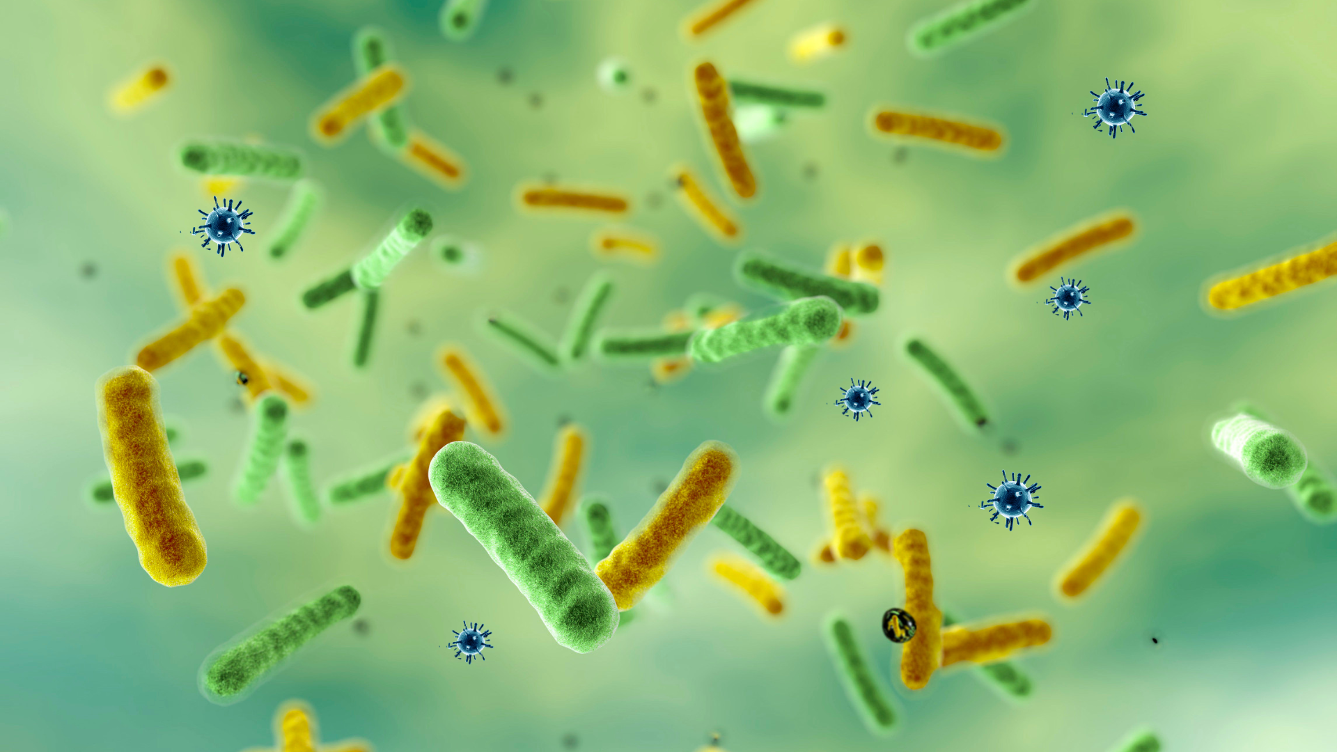 Microbiology Lab