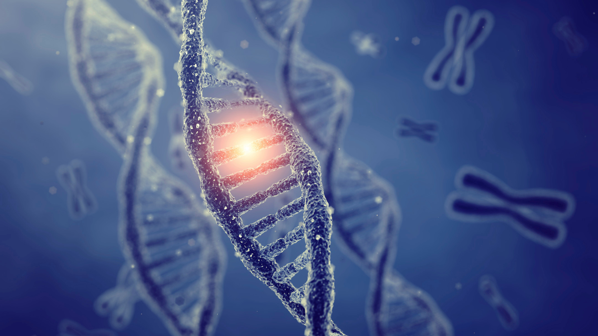 Genetic Toxicology Lab Testing